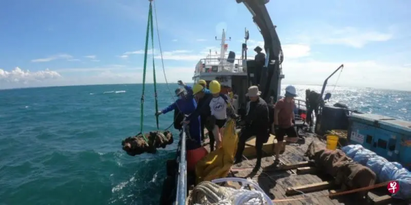 新加坡海域古沉船發現大批元青花