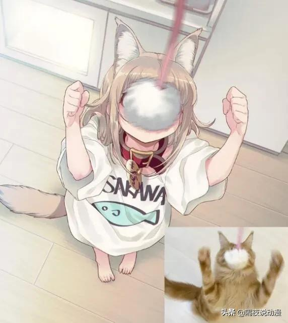 “擬人貓娘”走紅網路!日本人眼裡,是否裝著一整個二次元世界? “擬人貓娘”走紅網路!日本人眼裡,是否裝著一整個二次元世界?