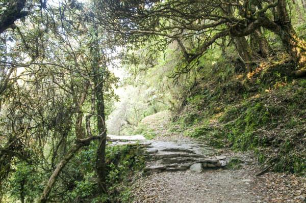 為什麼有這麼多人痴迷於去尼泊爾爬山？