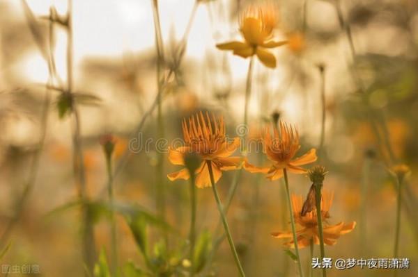 擁有魔性的星座