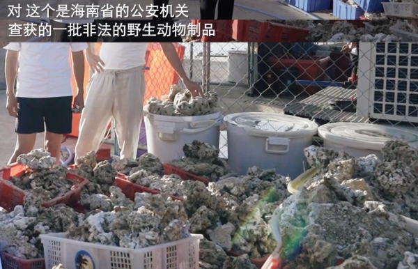 中國頂流男團靠“內鬥”出圈?只會耍“嘴炮”,卻人見人愛? 中國頂流男團靠“內鬥”出圈?只會耍“嘴炮”,卻人見人愛?