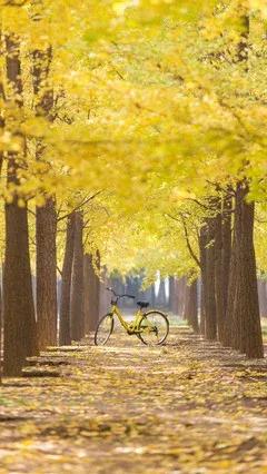 「原創詩詞」中秋後二首：流水落葉到中秋，一併欺人不自由