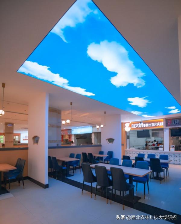 央視“點名”關注!陝西這所高校的全魚宴、巧克力饅頭饞哭網友 央視“點名”關注!陝西這所高校的全魚宴、巧克力饅頭饞哭網友