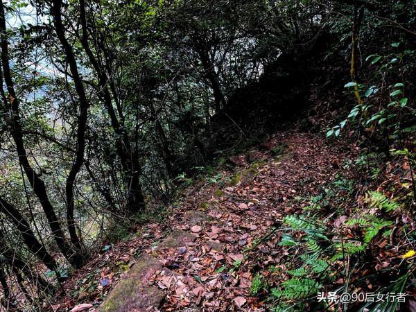 徒步成都大邑終南山，山高路遠無人煙，只有一座荒廢無人的道觀