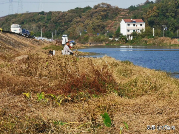冬釣鯽魚是抽頻率好還是守釣好？可別再一味跟著大師學了
