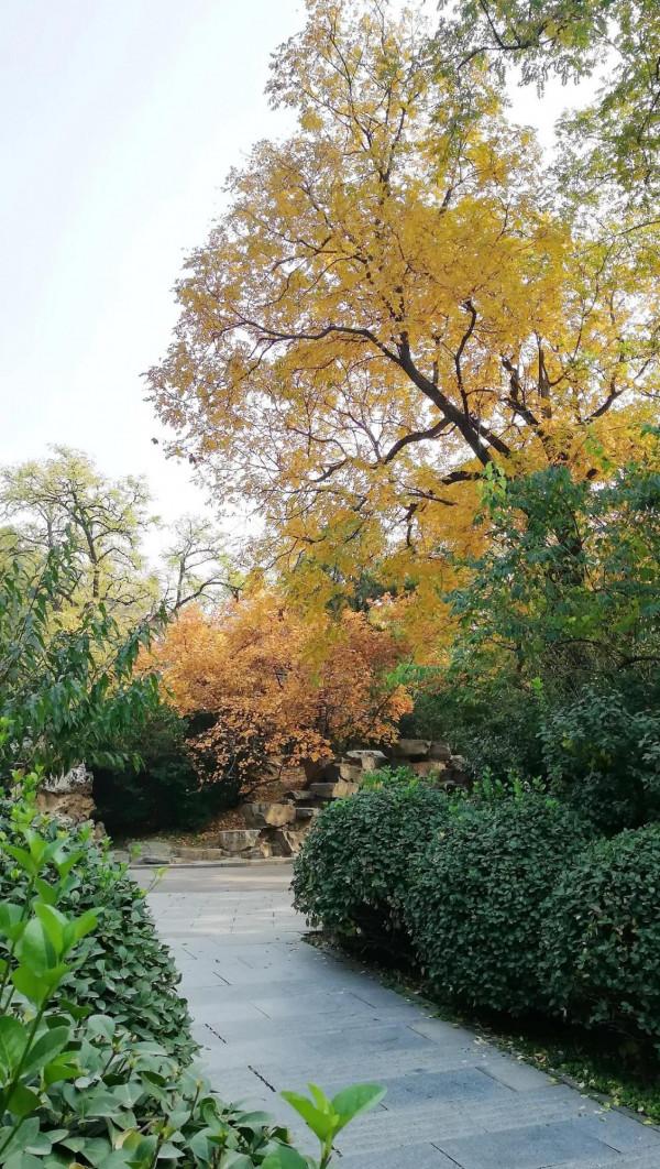 北京動物園裡意想不到的秋色 北京動物園裡意想不到的秋色