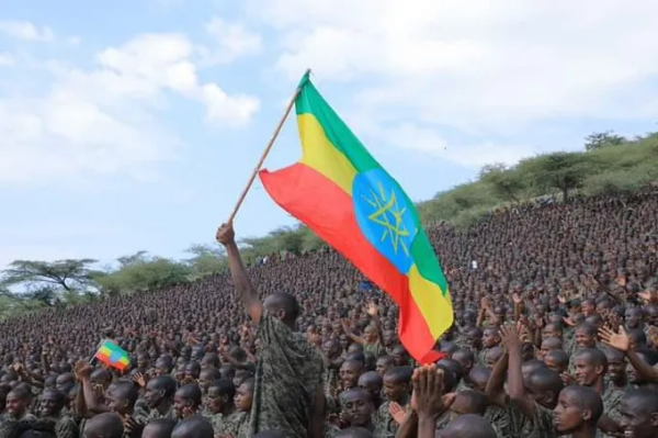 衣索比亞往事，參天大樹難結果