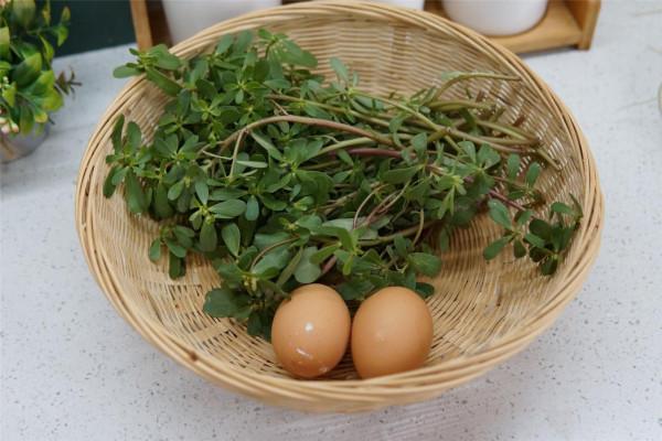 夏天,這野菜正當季,路邊摘一把,回家與雞蛋一起炒,真香啊 夏天,這野菜正當季,路邊摘一把,回家與雞蛋一起炒,真香啊