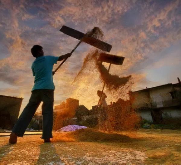 13年前，河南農村小夥迎娶日本市長的女兒，如今過得怎麼樣？