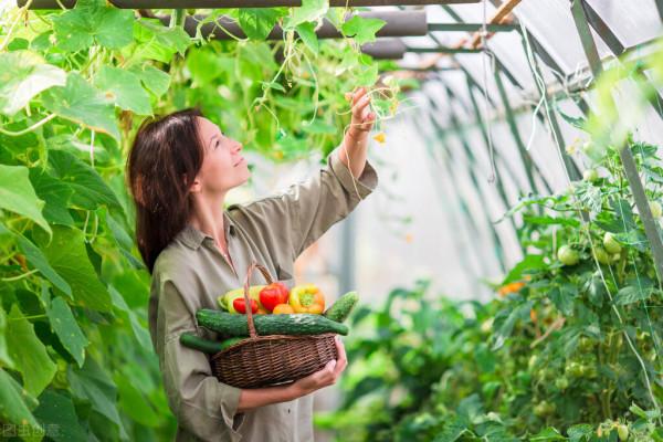 回憶與失憶 （三）