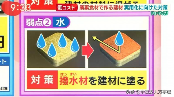 用白菜蓋房子，當作建材是混凝土的４倍，不但環保還可以拿來吃？