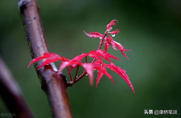 脾胃系病證——5.胃痞(4) 脾胃系病證——5.胃痞(4)