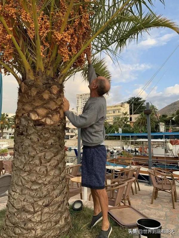 昔日兄弟“阿爾巴尼亞”現狀，帶你看看真實的阿爾巴尼亞