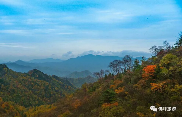 冬日登佛坪金山公園，別有趣味！