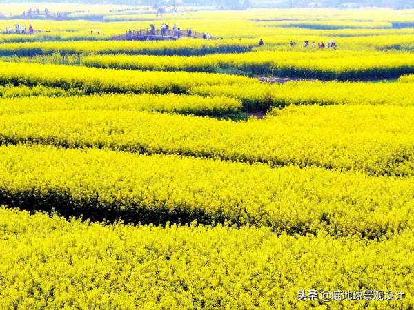 30個美麗鄉村盈利專案推薦