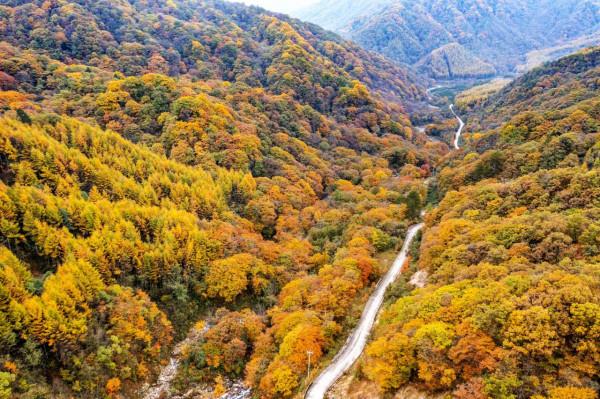 秘境南壩溝——四川光霧山 秘境南壩溝——四川光霧山