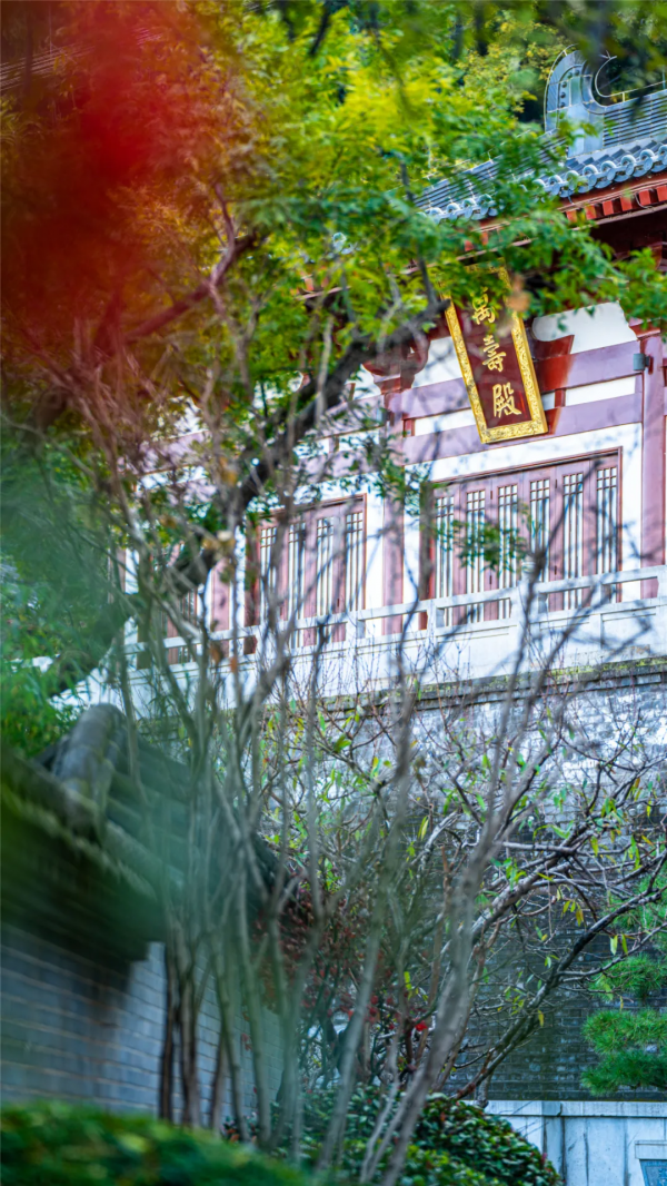 華清宮的初冬美景，驚豔了誰的時光？