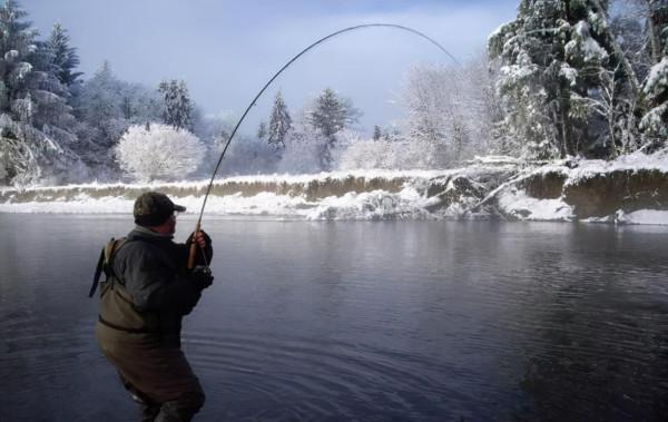 冬季釣魚，用這4招撬開魚口，漁獲可提升3倍