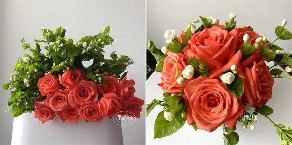 影星玫瑰 · 花堅強