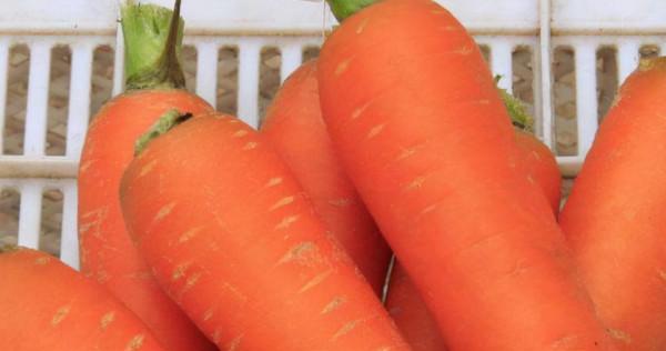 這7種蔬菜建議大家少吃，對照一下有沒有你愛吃的？