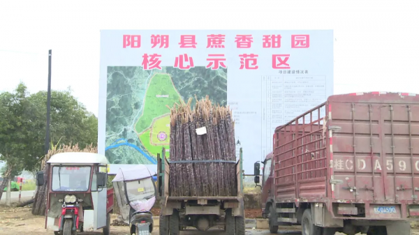 【人大代表風采】黎繼晶：心繫群眾守初心 盡心盡責擔使命