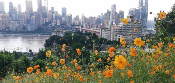 有文化的王大哥選擇的生活