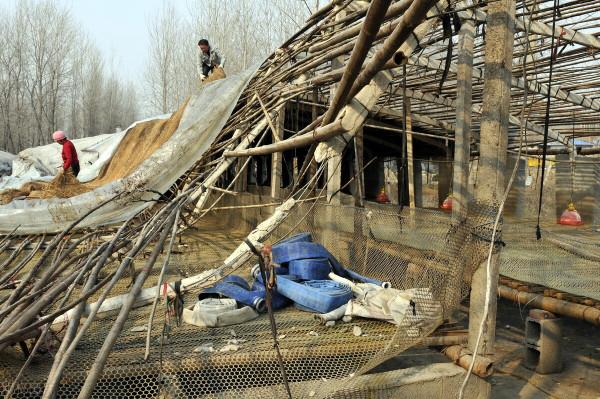 農曆春節過後，“四拆”！村村有得忙，也涉及你家嗎？