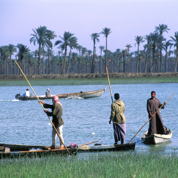 伊拉克，熱炸了｜地球知識局