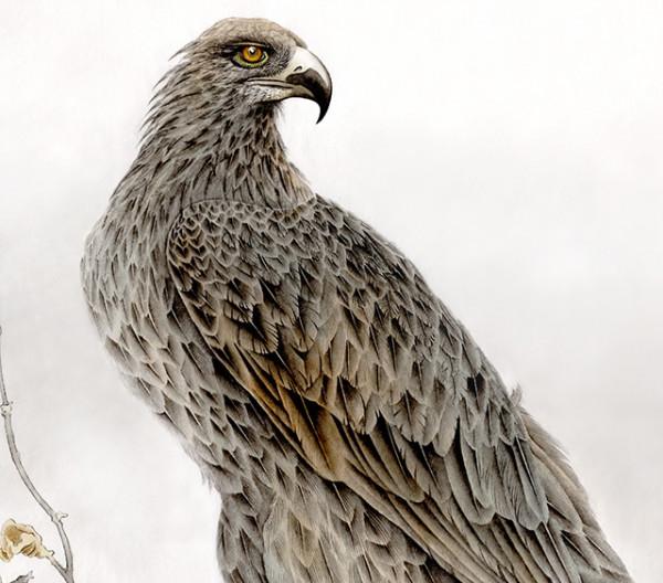 好字畫兼併經濟和審美的雙重價值