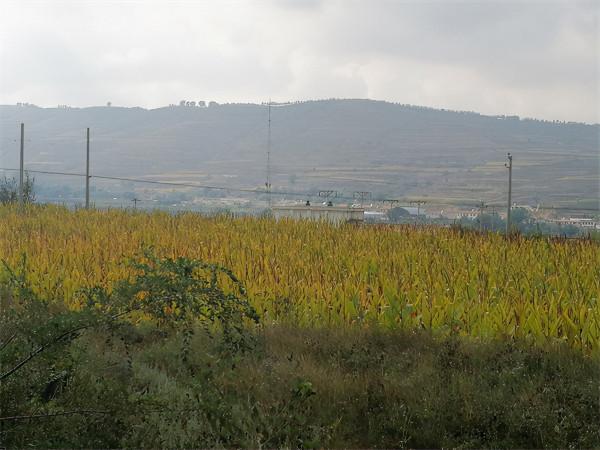 鄉情散文:劉家寨子行 鄉情散文:劉家寨子行