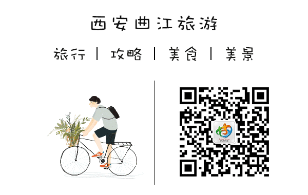 不穿秋褲的極地動物如何禦寒? 不穿秋褲的極地動物如何禦寒?