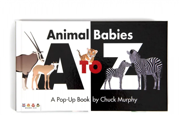 浙大媽媽0~6個月寶寶繪本推薦，看這一篇就夠了