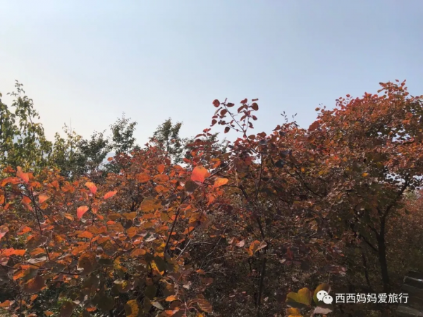 遊房山坡峰嶺 看萬山紅遍