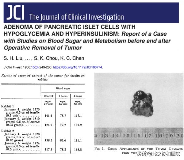 主任話科史 | 內分泌科主任夏維波:學史明理,知史礪行 主任話科史 | 內分泌科主任夏維波:學史明理,知史礪行