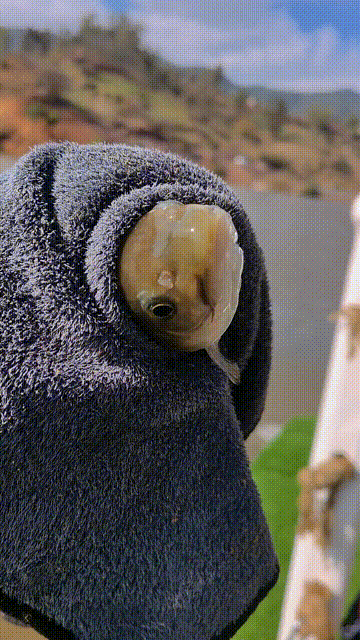 戰術失誤,以一敵十,首次庫釣邀請賽,鬱鬱寡歡,不如“躺贏” 戰術失誤,以一敵十,首次庫釣邀請賽,鬱鬱寡歡,不如“躺贏”