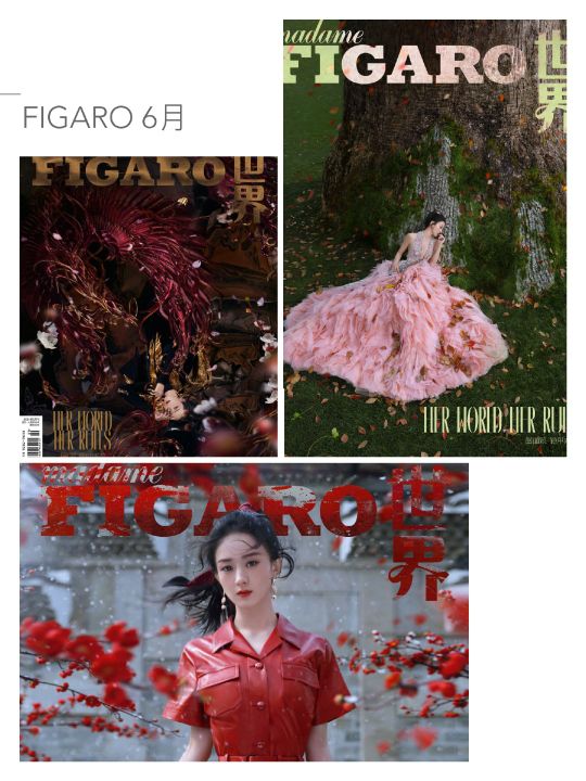 趙麗穎2021封面合集首登尼龍，高馬尾優雅幹練，不斷解鎖新封面