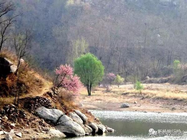 沂山奇遇記 沂山奇遇記