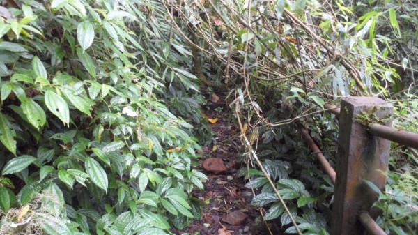 小夥徒步探秘深山三國邊境，險些踏空跌入懸崖，幾乎沒遊客到過