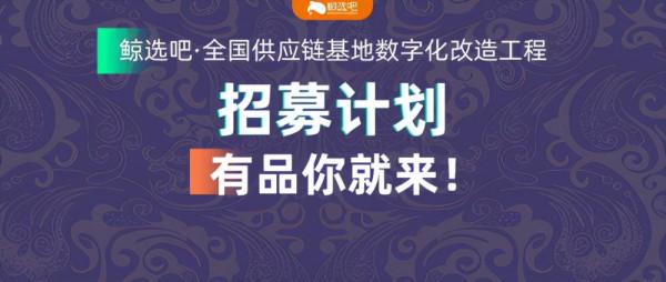 輕應用時代下，鯨選吧能否撬動移動網際網路下半場
