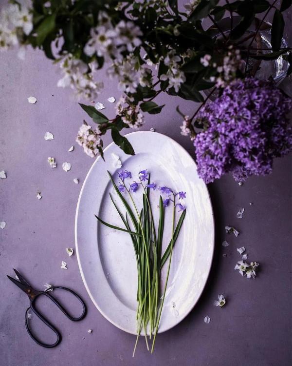 靈感圖集｜她用一束花帶，一碟美食，帶來新生的寧靜和美好