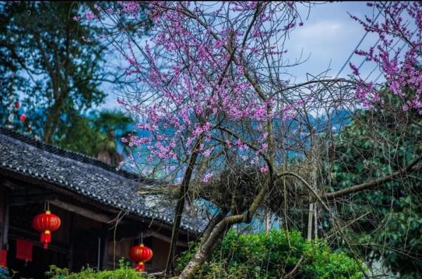 西南邊陲小鎮