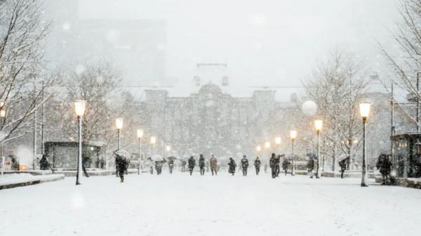 2022東京初雪,這個近45年來最冷的冬天,美翻了 2022東京初雪,這個近45年來最冷的冬天,美翻了