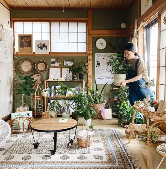 一人一狗蝸居19㎡小屋,引來3萬人圍觀!高收入小姐姐的歲月靜好 一人一狗蝸居19㎡小屋,引來3萬人圍觀!高收入小姐姐的歲月靜好