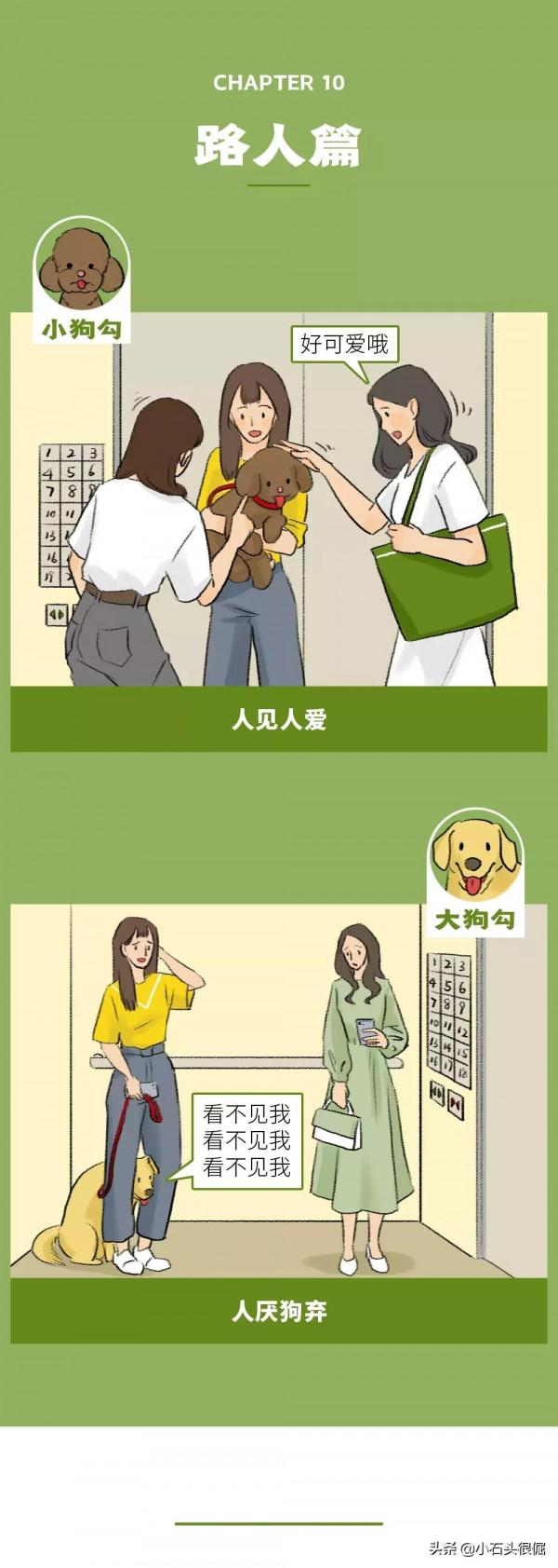 養大狗和小狗的區別(漫畫) 養大狗和小狗的區別(漫畫)