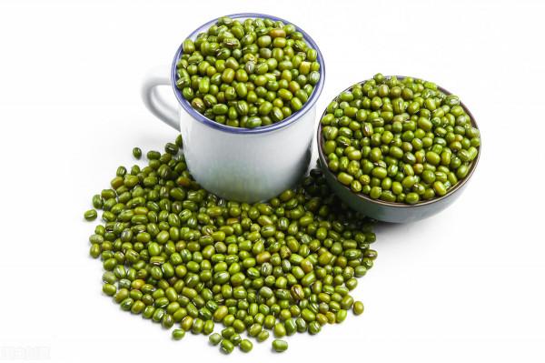 溼熱體質的中醫調理 溼熱體質的中醫調理