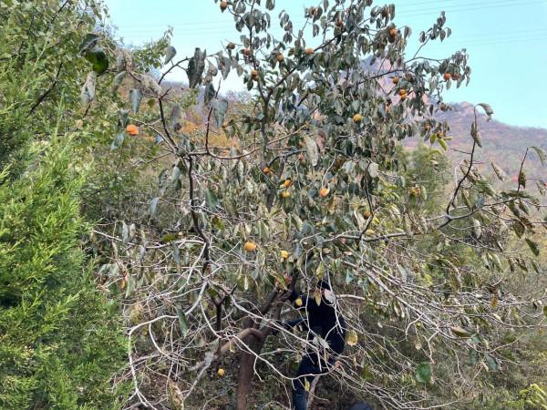 旅行在路上,莊子嶺景區風光無限 旅行在路上,莊子嶺景區風光無限