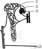 2021廣東中考生物試題