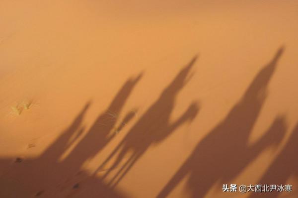 跟著三毛的足跡一起走進撒哈拉沙漠（圖）