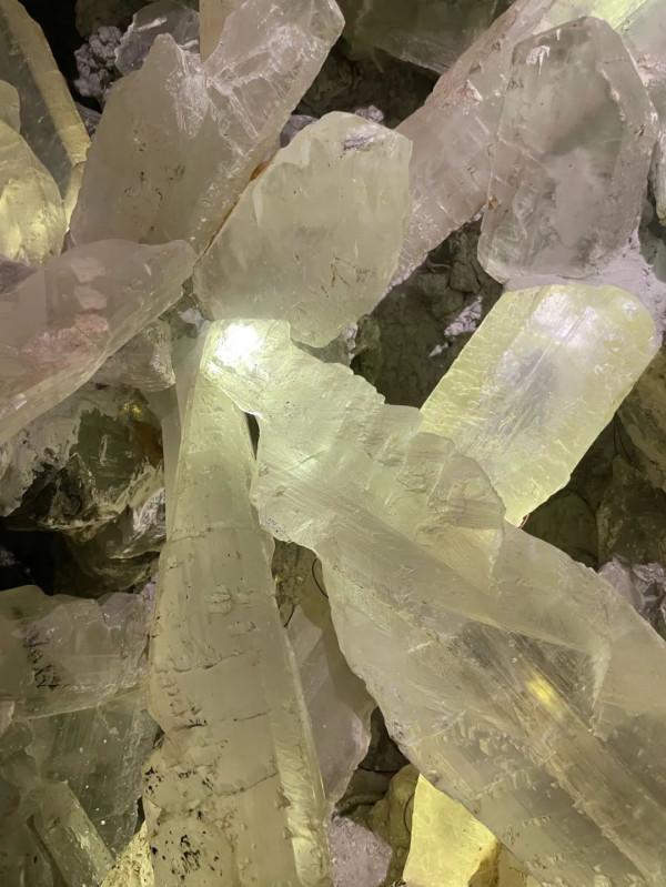 今天,邀請你一起去湖南省地質博物館,看萬物征途 今天,邀請你一起去湖南省地質博物館,看萬物征途