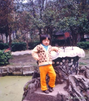 兩次衛冕奧運冠軍，一年怒甩老婆23次，拳王鄒市明為何退出拳壇？